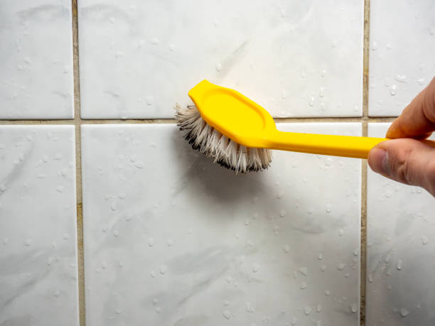 Best Preventive Mold Services in Morgandale, OH